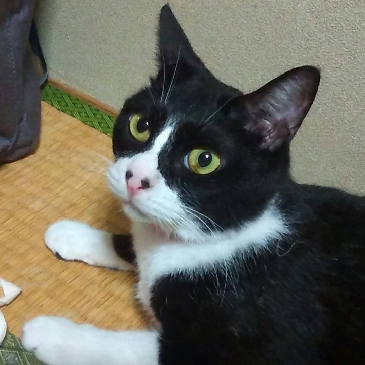 地獄のシャワー