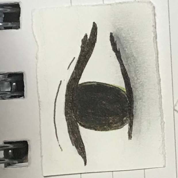 右の1番上(縦から見て)