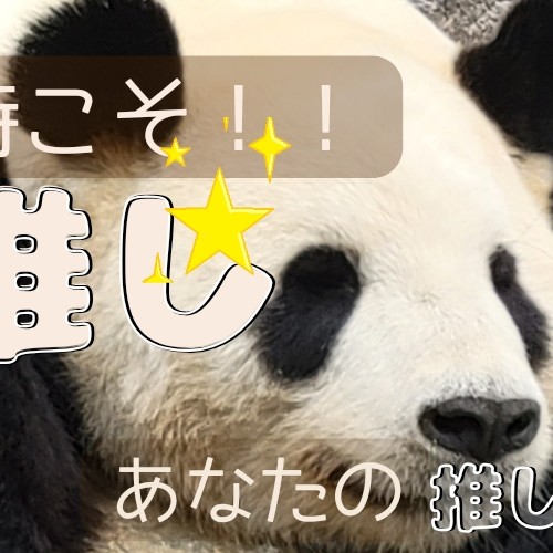 憂鬱な時こそ!!推し✨の話だ✨