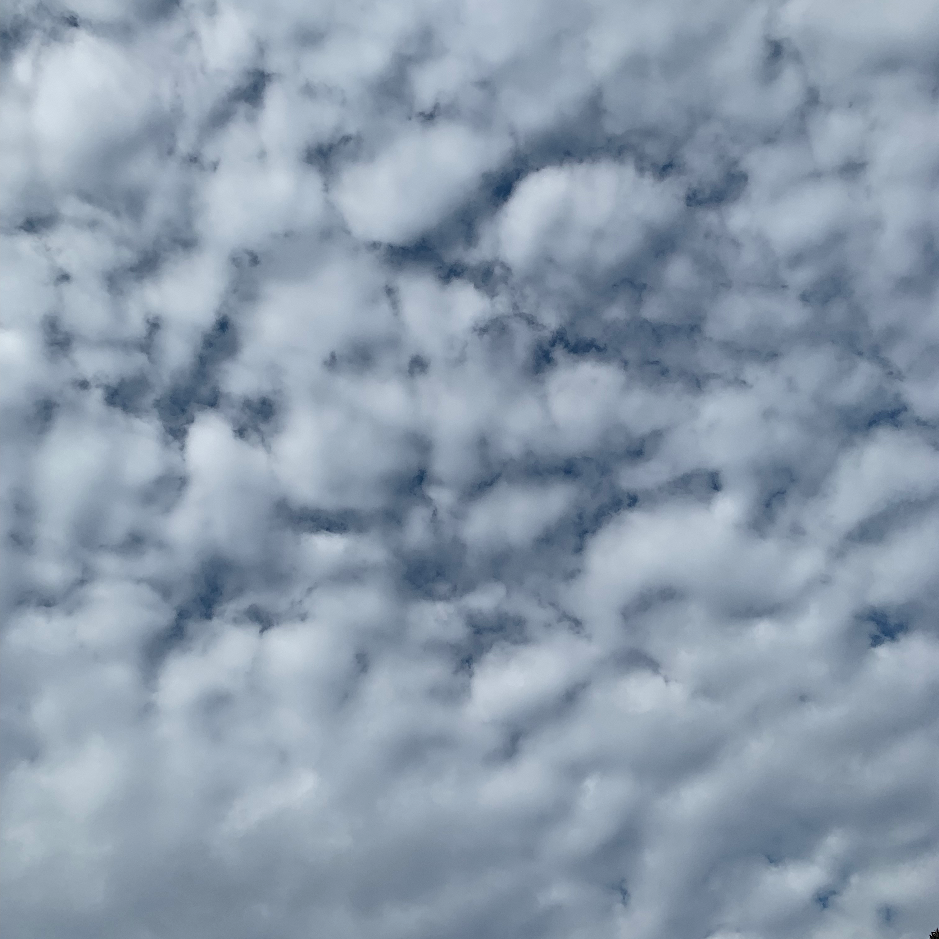 その他はコメント欄で