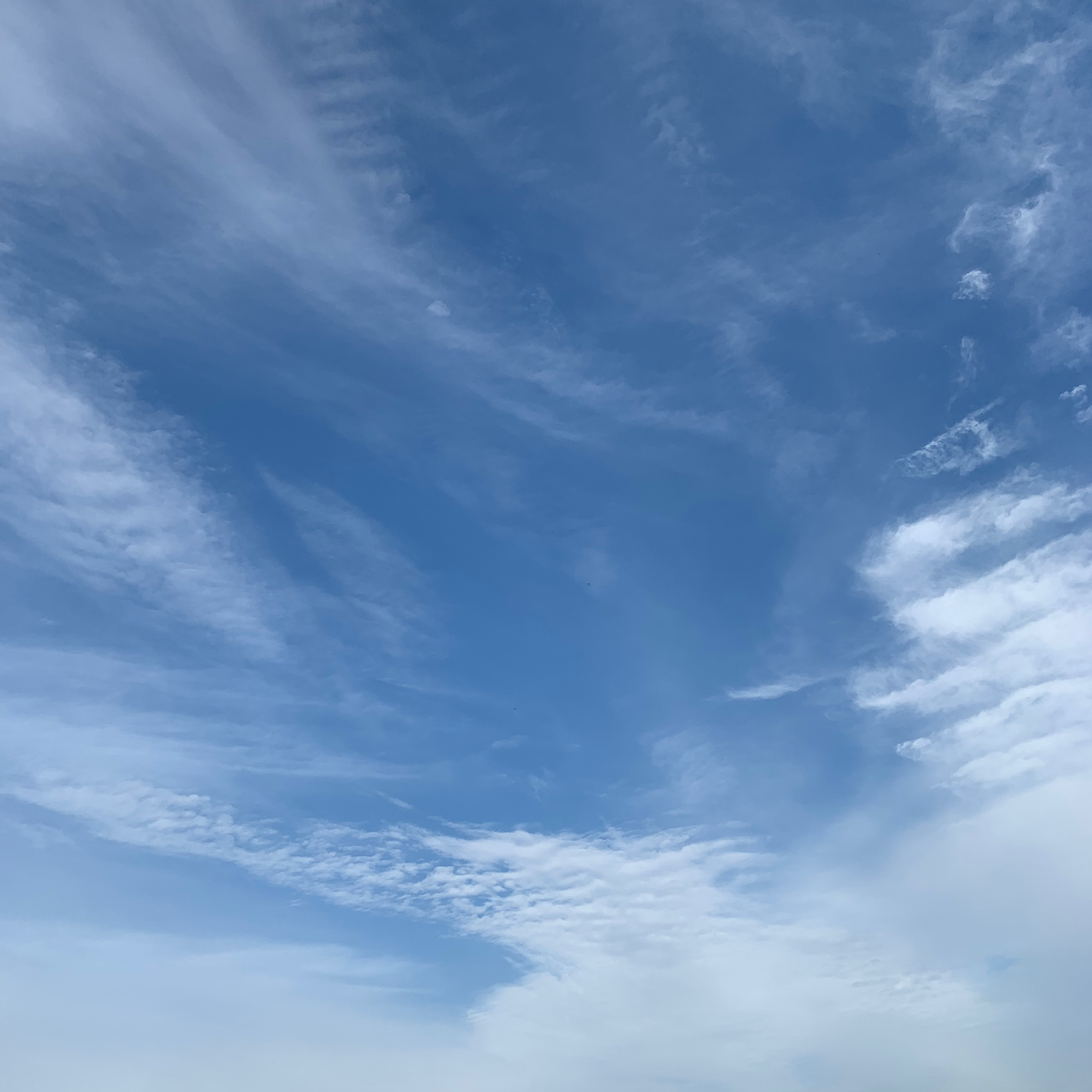 本人にブロックするねと伝えブロッ