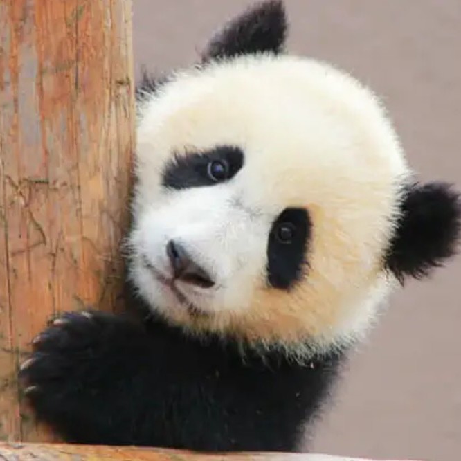 あるある！使ってるよ！