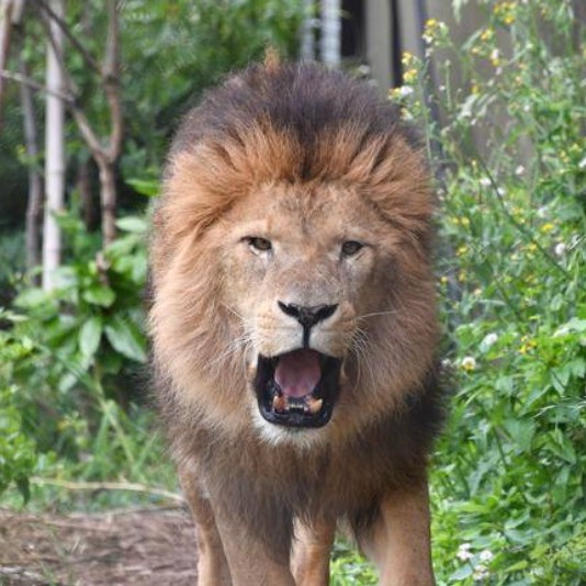 ないよ！使わないなぁ〜！