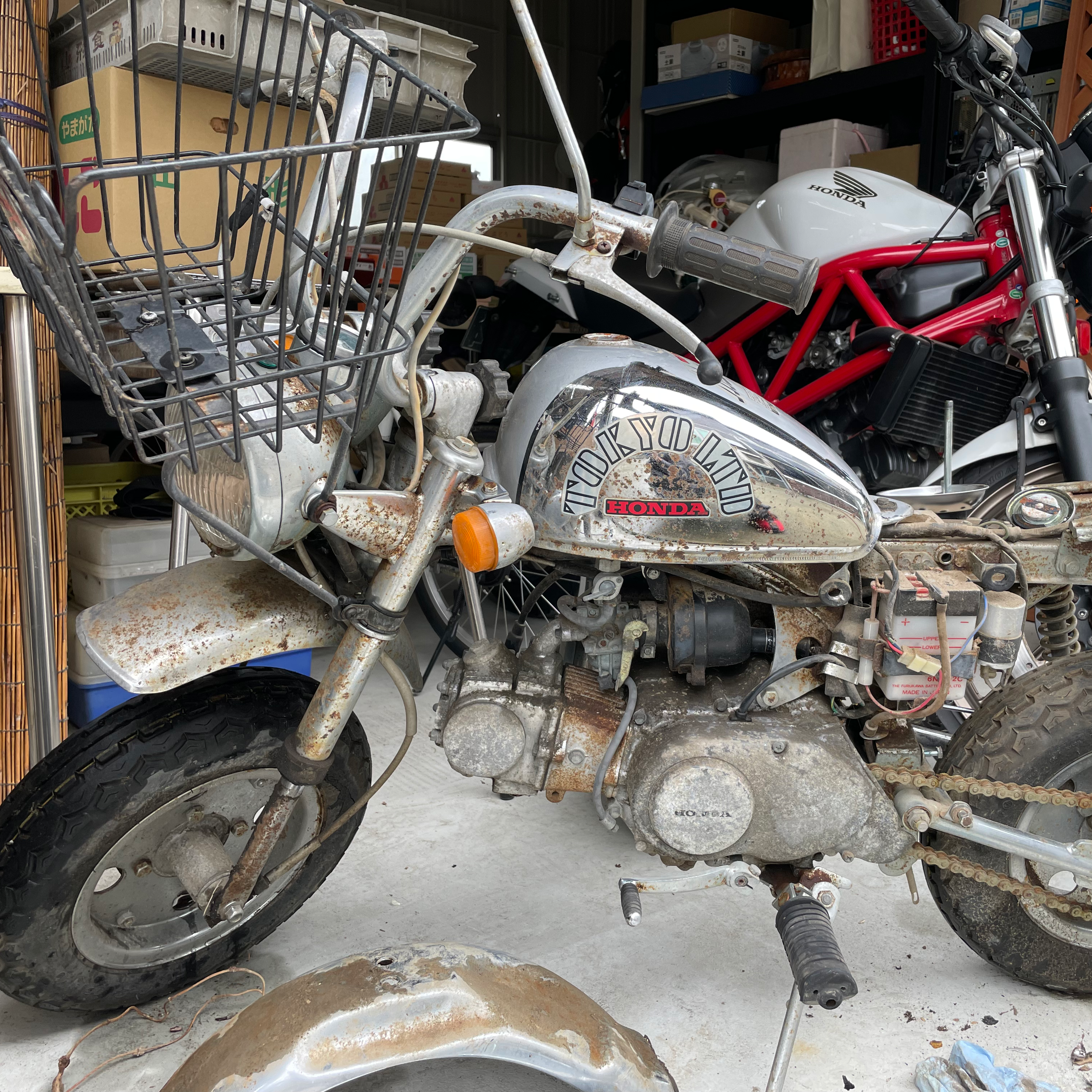 ビフォー　不動モンキー