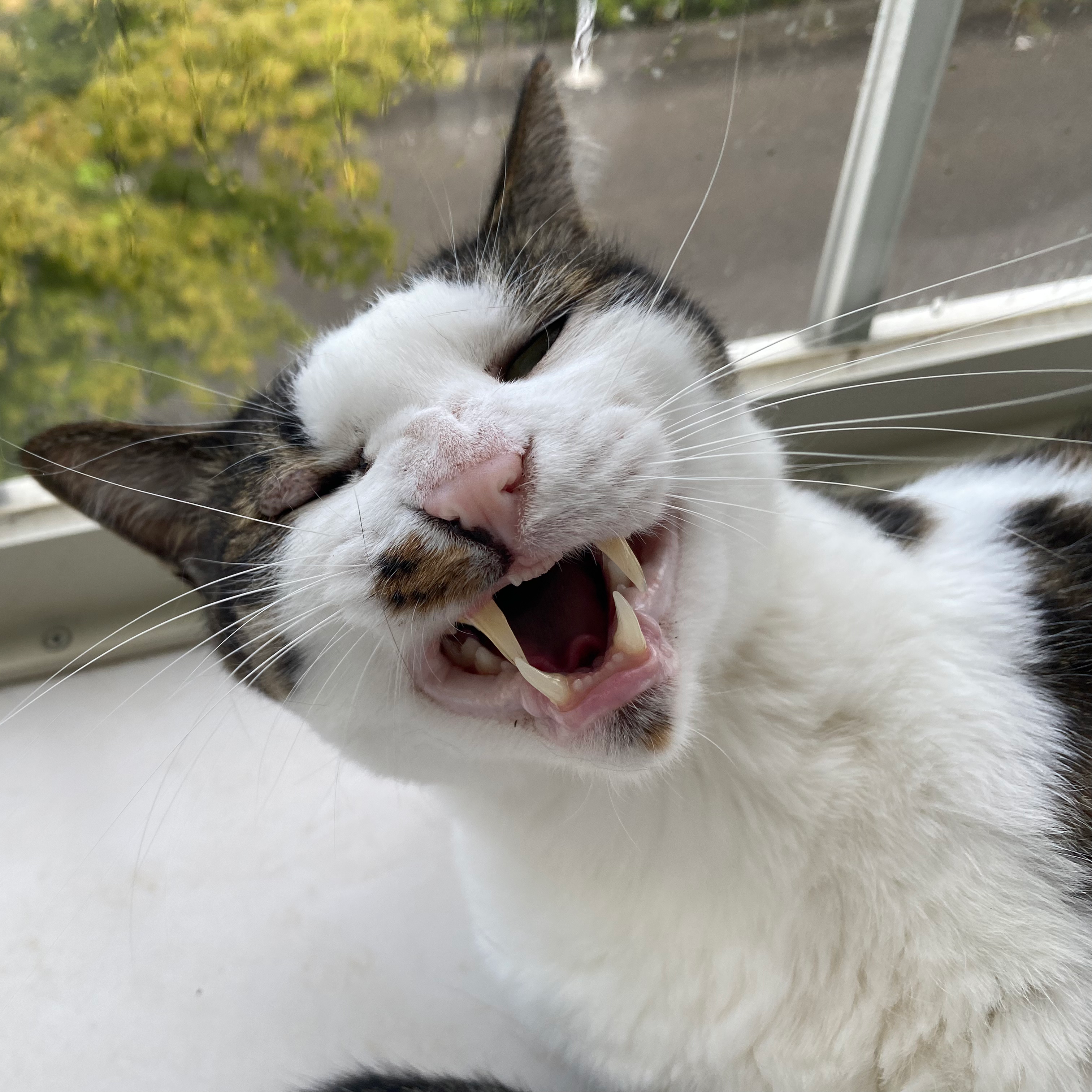 出来ない、難しい