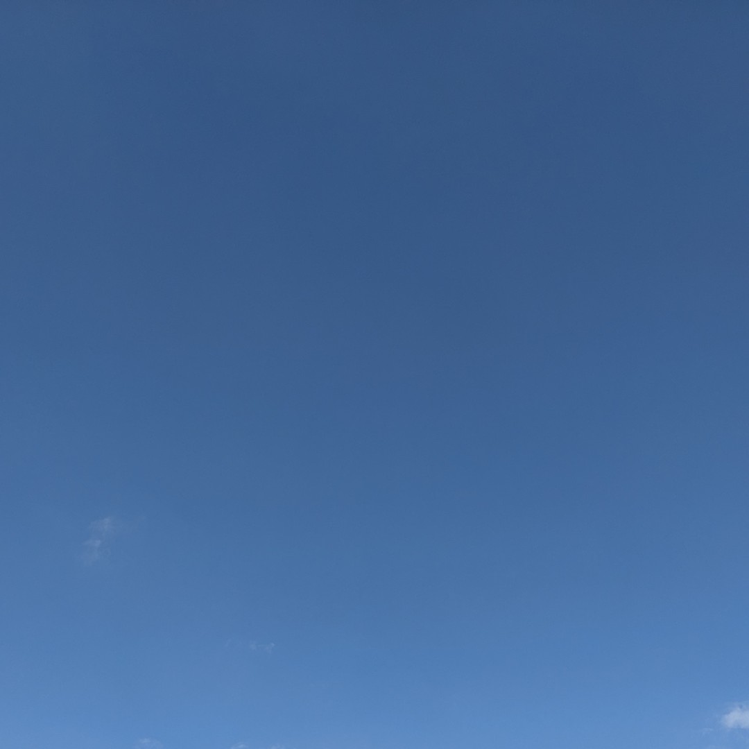 推し活楽しい!
