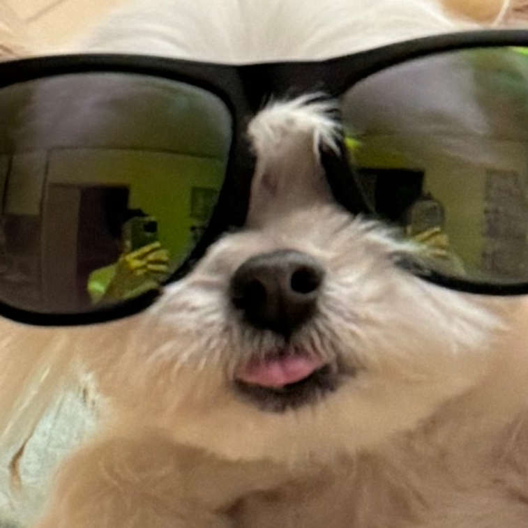 スコットランド