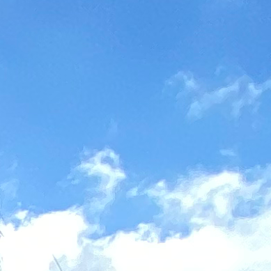 家計管理上共有すべき