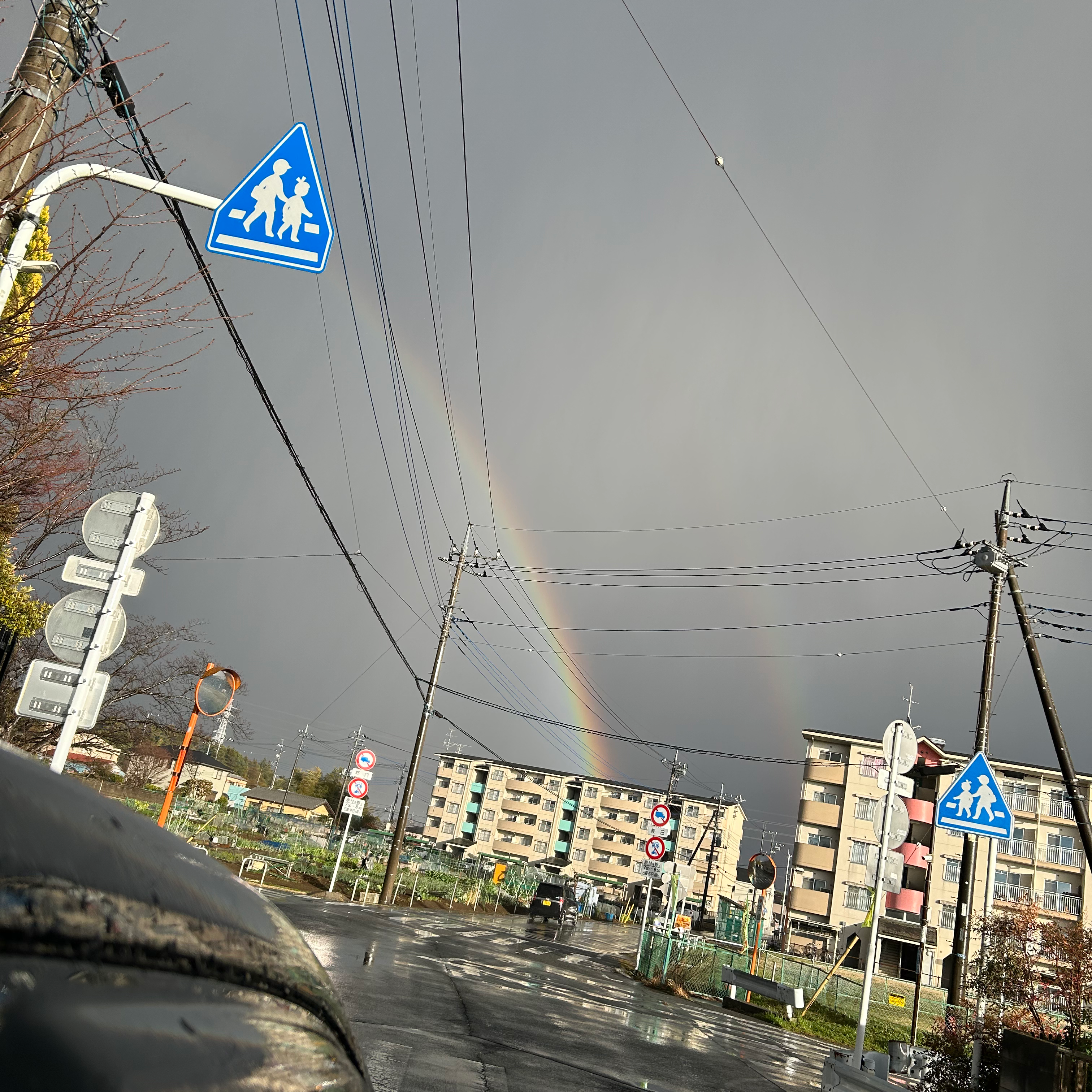 大丈夫！迷惑じゃないよ！