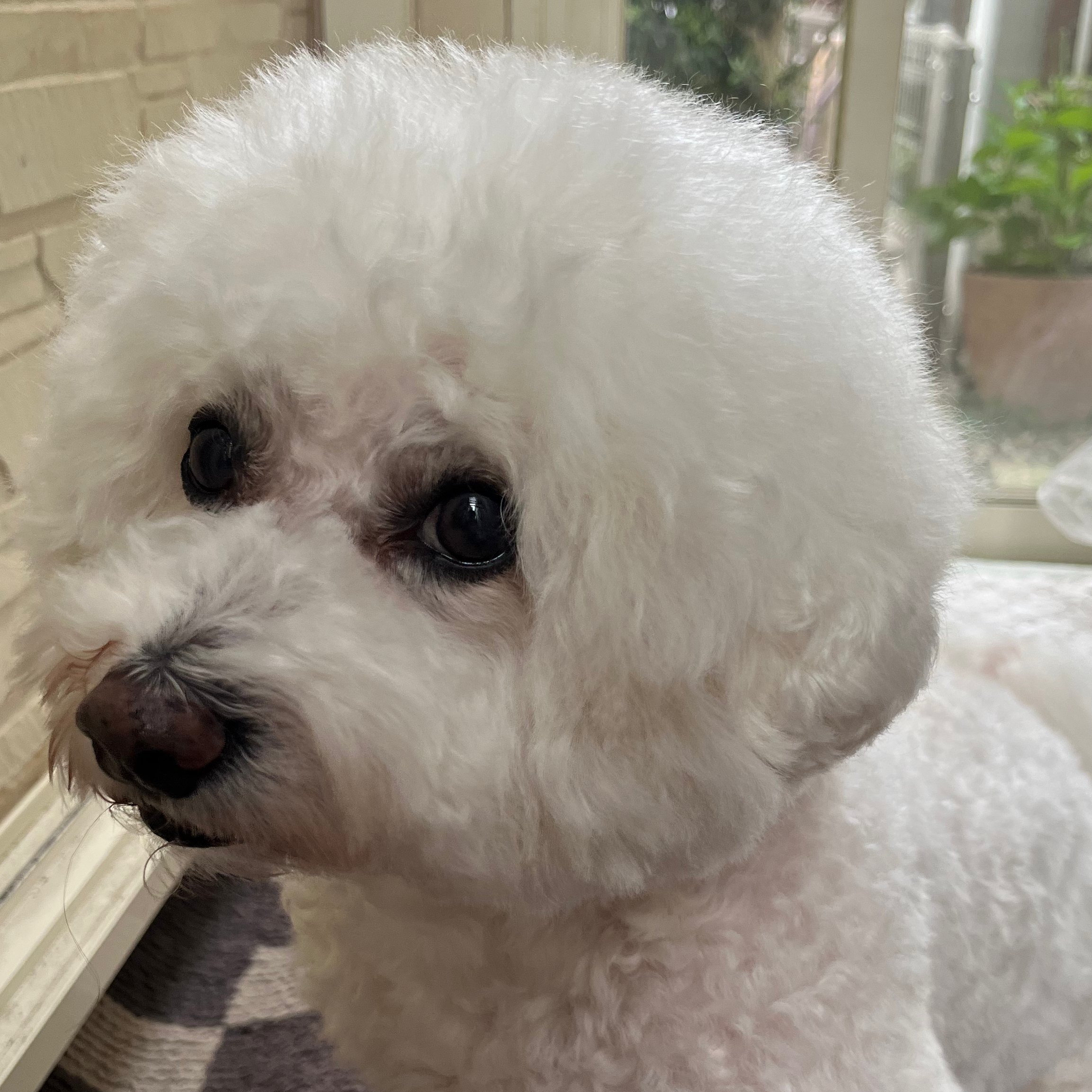 ついていかない