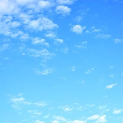 どの色も完璧️⭕️