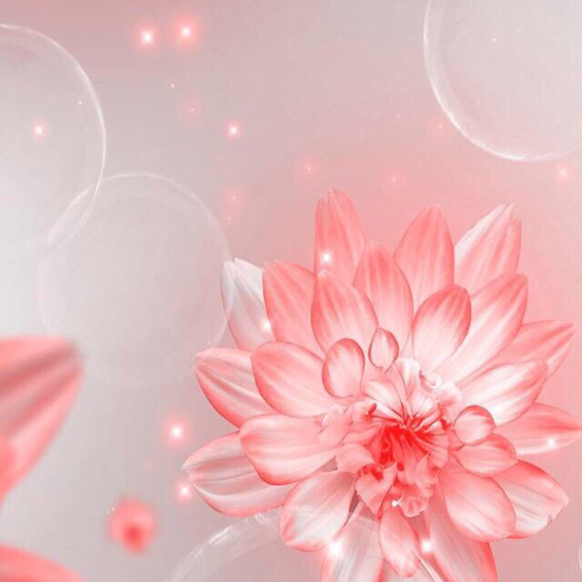 特定の色だけダメ→コメントお願い