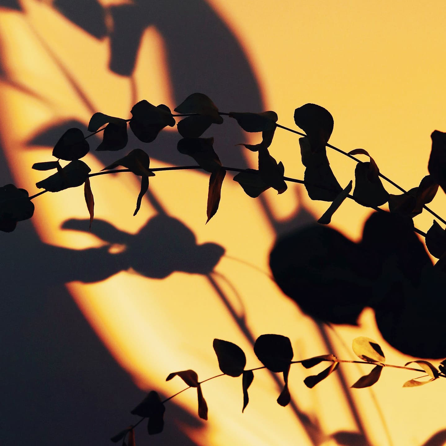 ヨークシン（幻影旅団）編