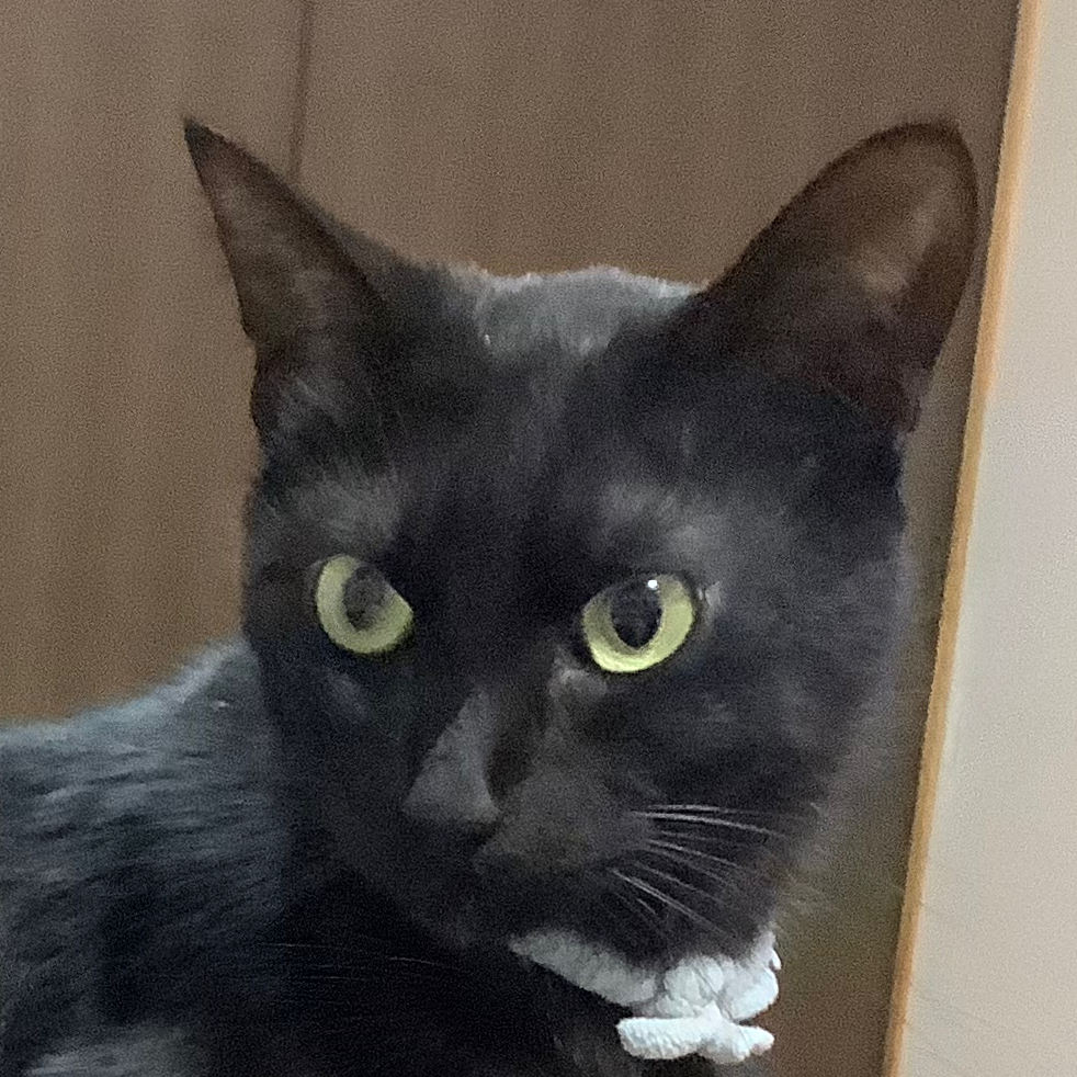 お坊ちゃん