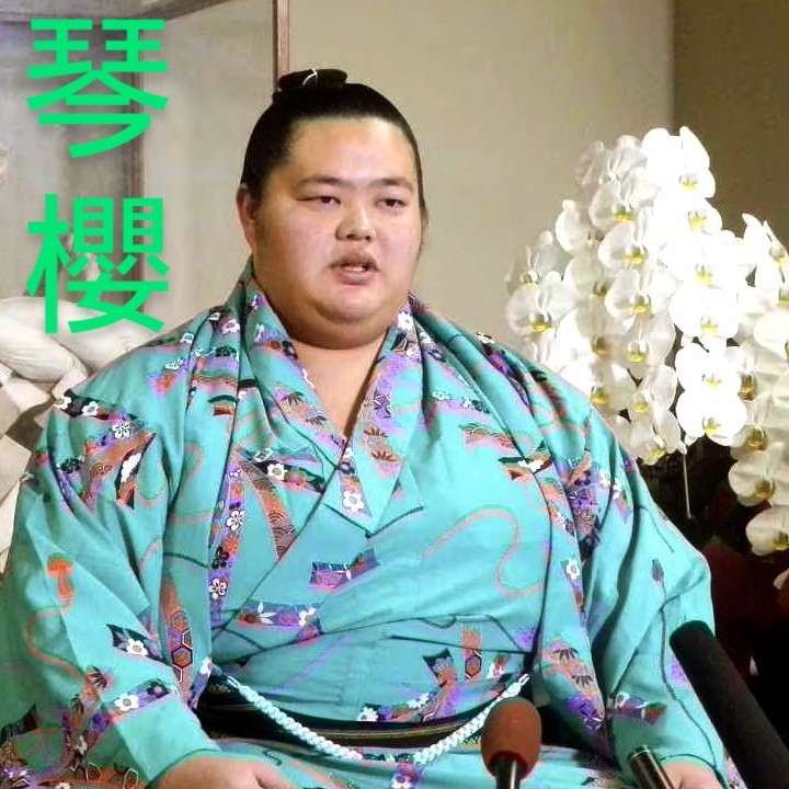 大関・琴櫻(4敗)