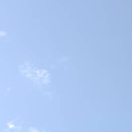 ひな  りくと（男女）