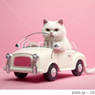 家出る時(車で近くまで行きます)