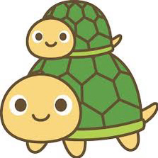 亀