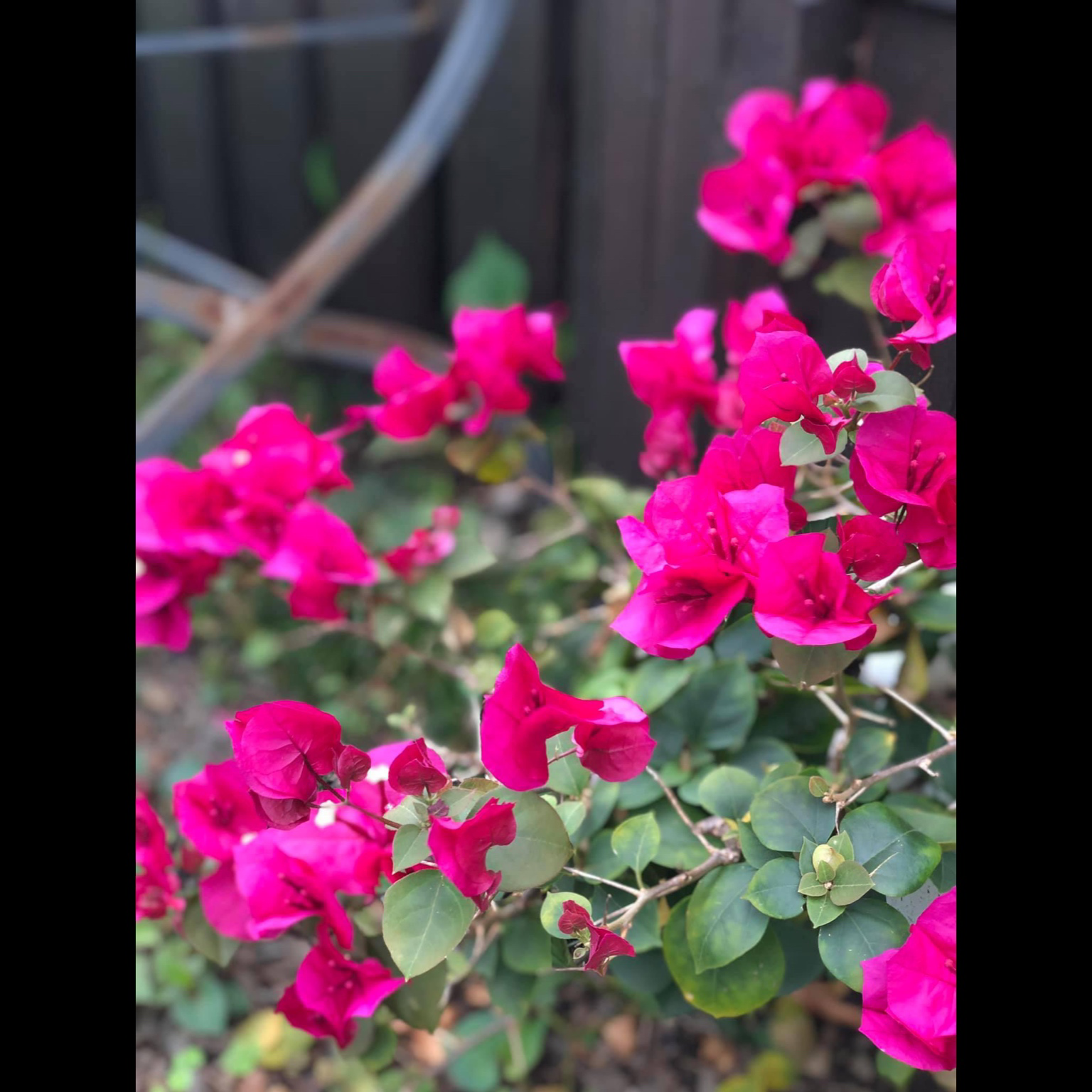 その他（コメント欄へ）