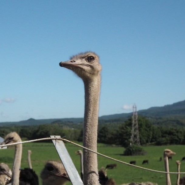 紛失したことない！