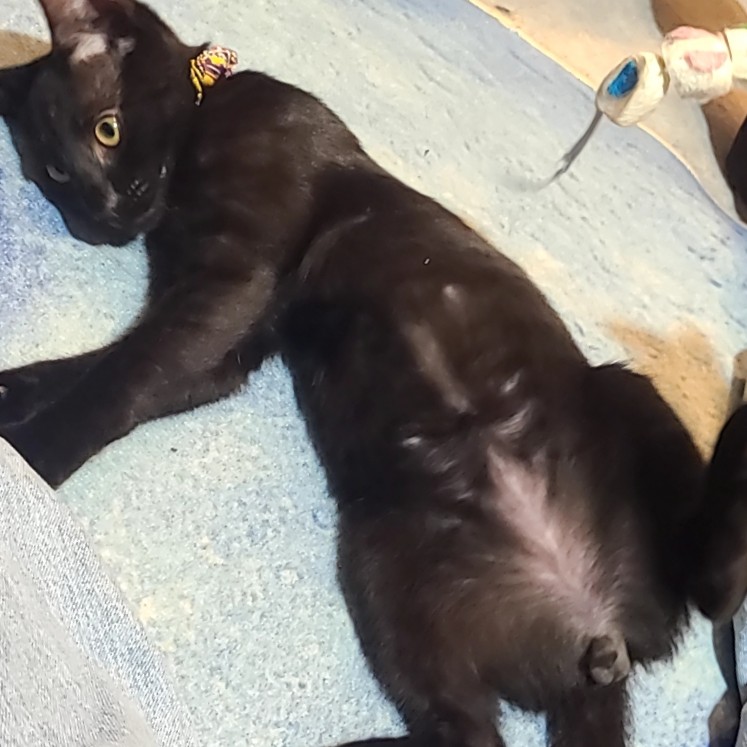 １-2年ぐらいで失くしたな🤔