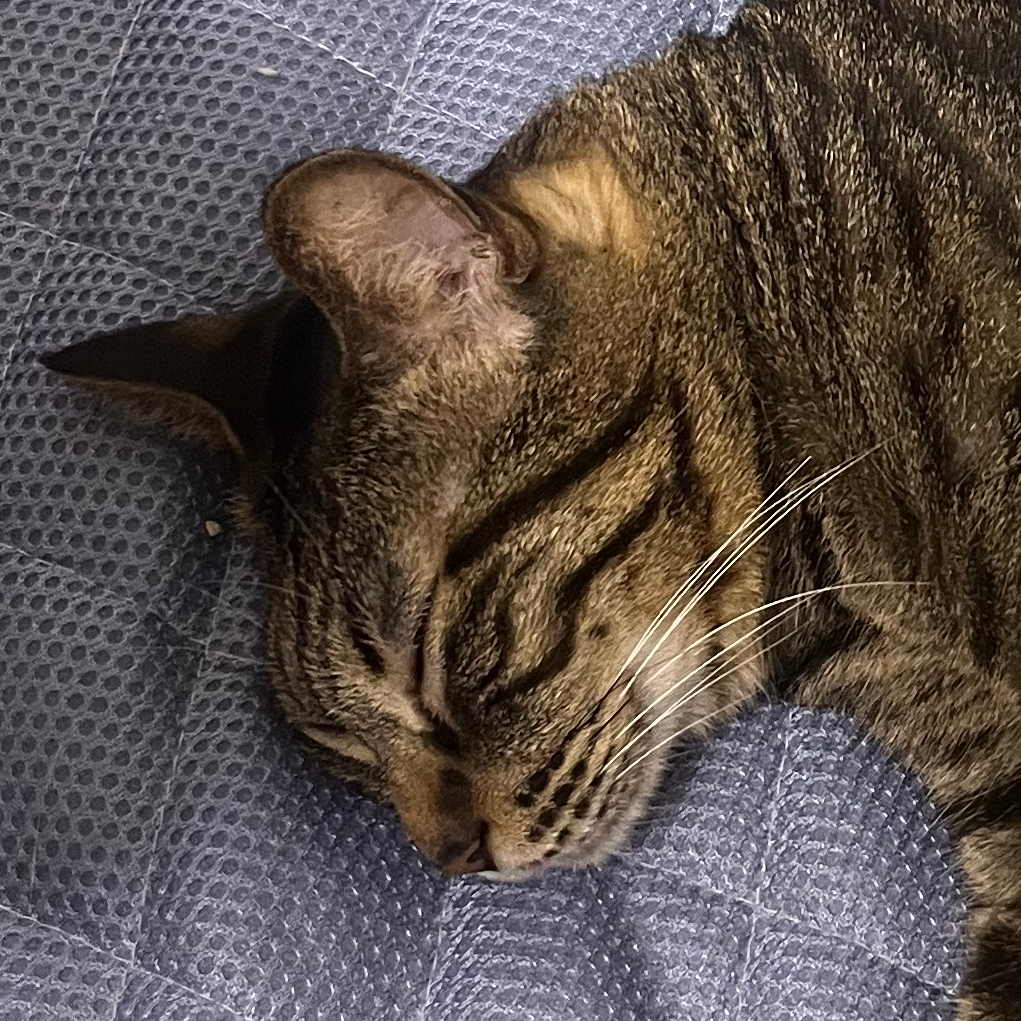 使用者にコンタクトをとらない