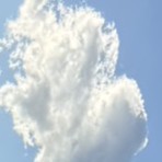 1度は手放したので再び手放す