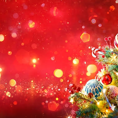 絶対25日がいい！！！