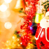 24日でもいいかな