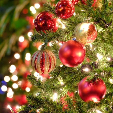 24.25日両方でしょ