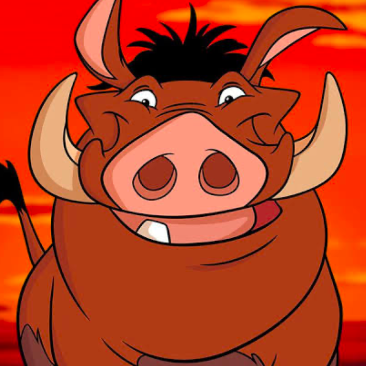 ライオンキング ムファサ