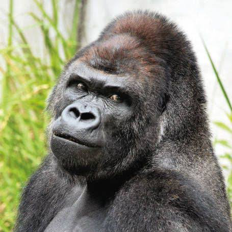 結果が見たいよ