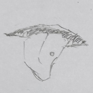 チャラ男×真面目女子