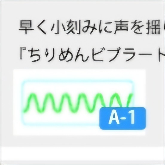 ボックスA(A-1〜3)
