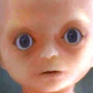 誰もお前の企画興味ねーよ