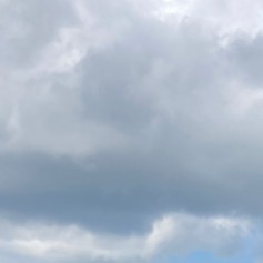 見向きもしない