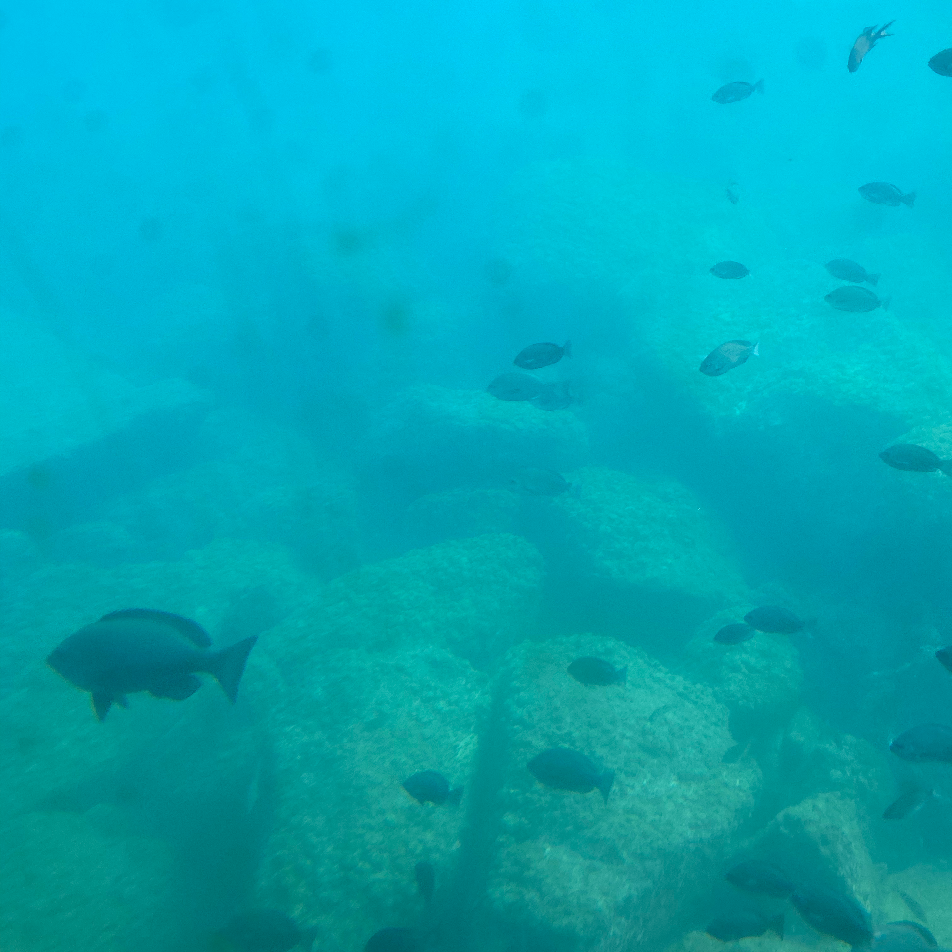 入らない。マナー悪い