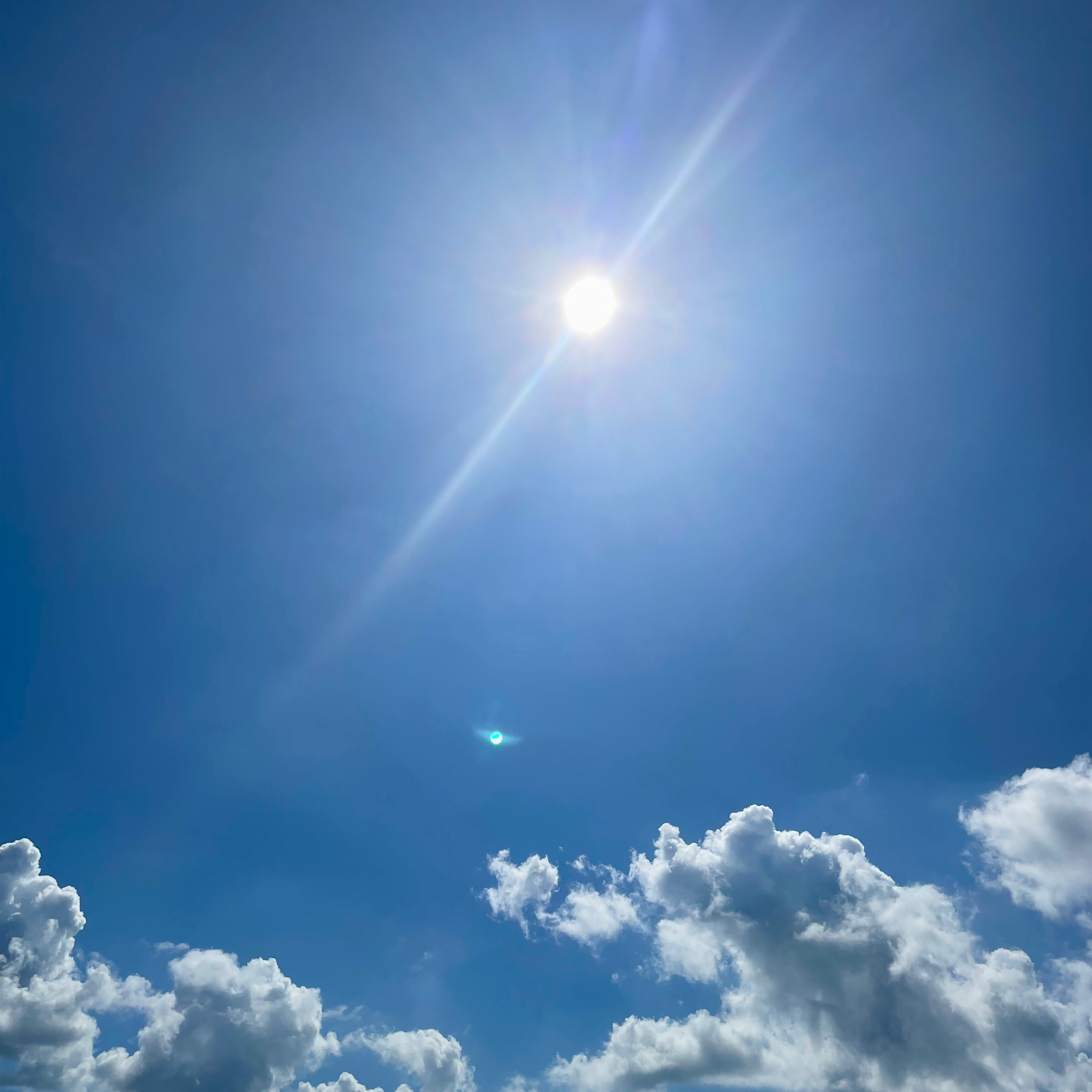 アプリで予約する派？