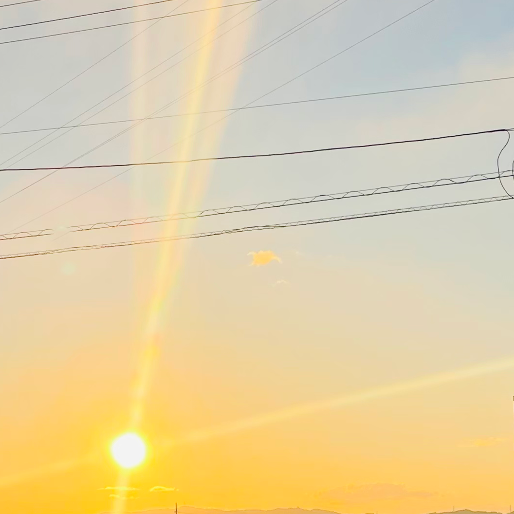 1〜3年生全て(今現在の写真）