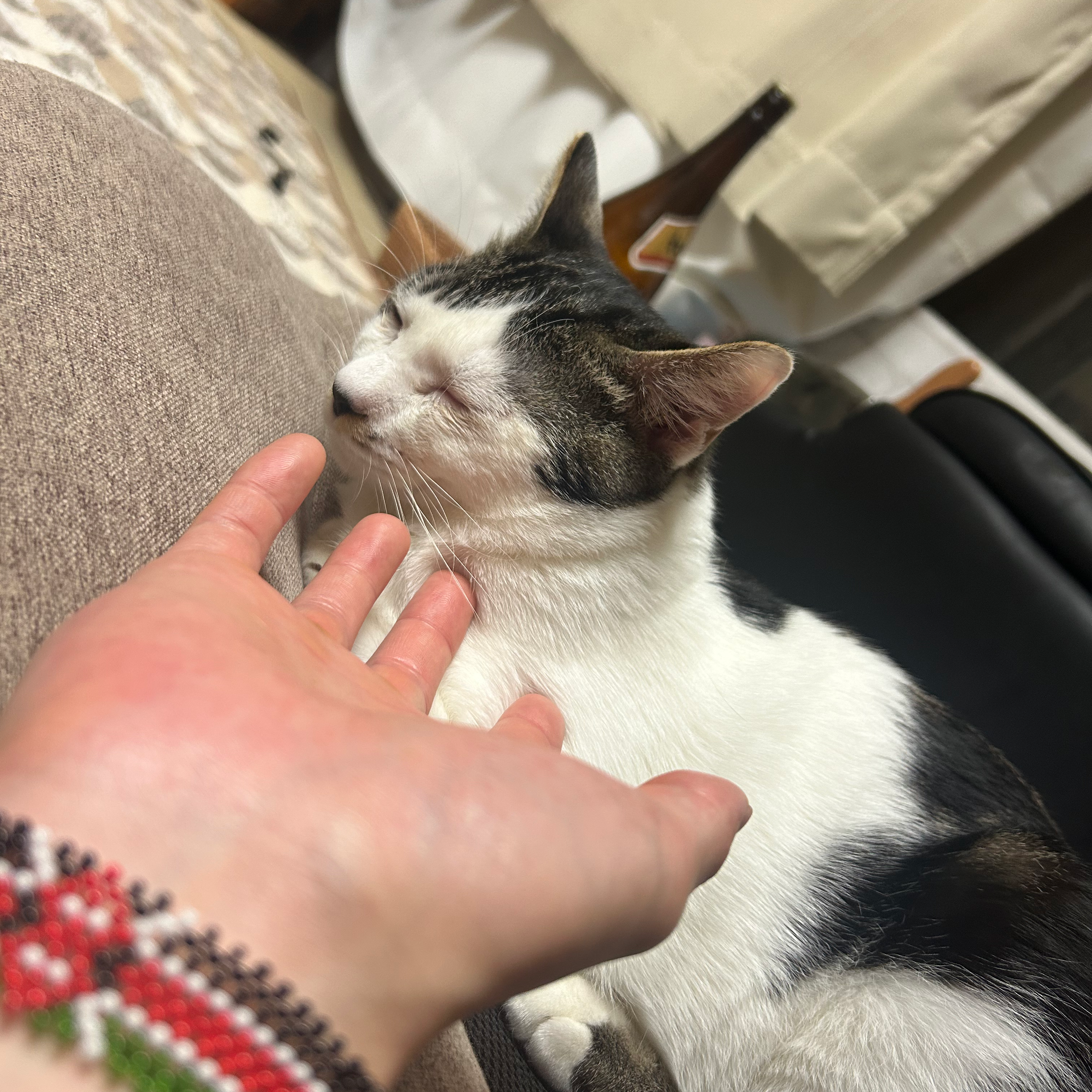 PS5買えよ！買っちゃえよ！！