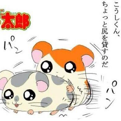 ﾊﾑﾀﾛｻｧﾝ