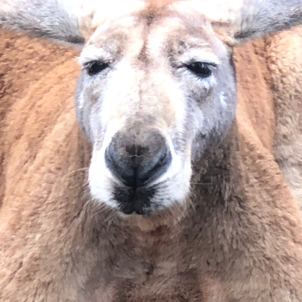 18歳未満閲覧用