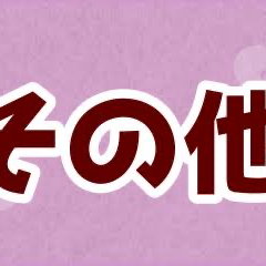 その他