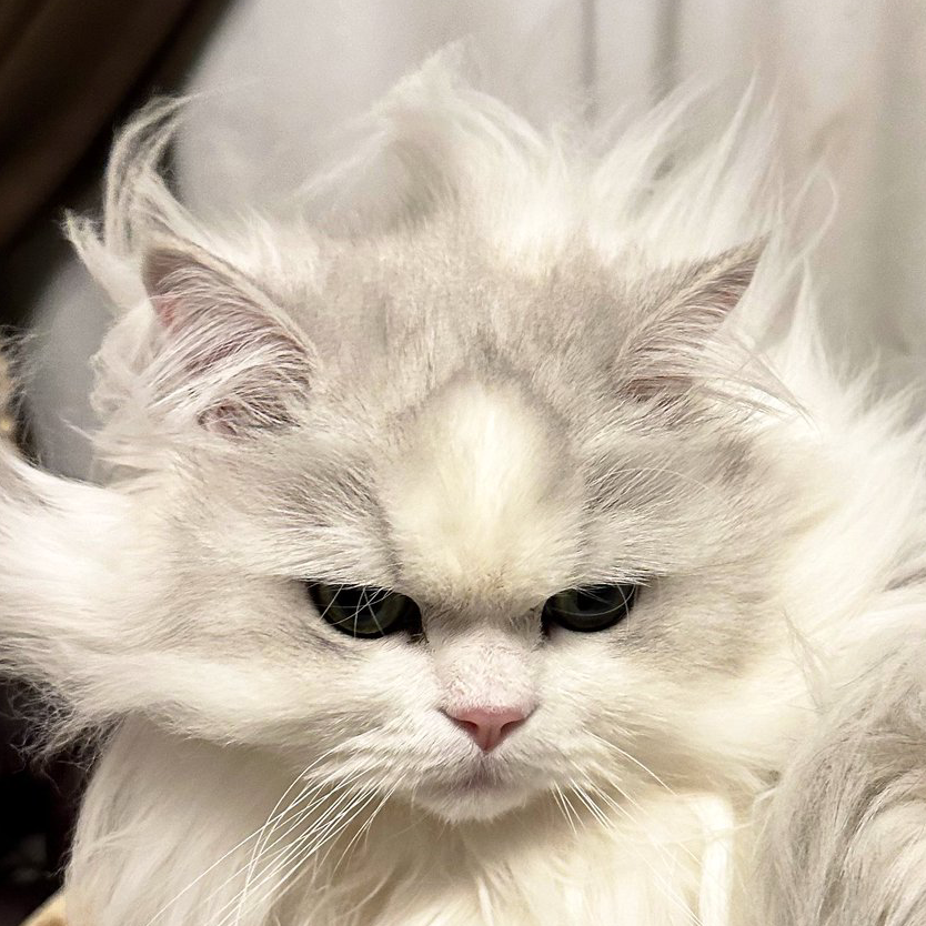 イラッとしちゃうかも