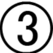 (3)
