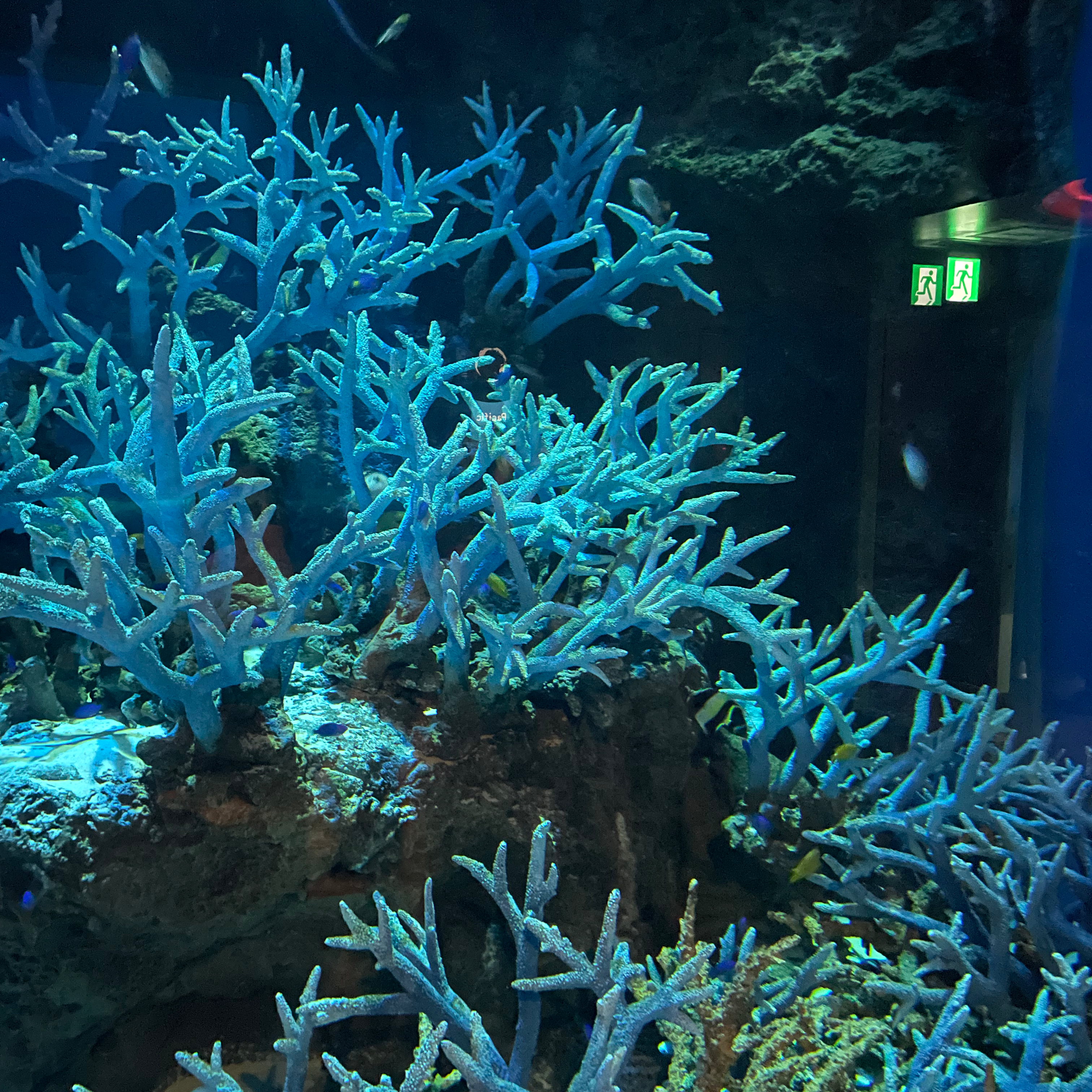 何も言わずにスッと手をつながれる