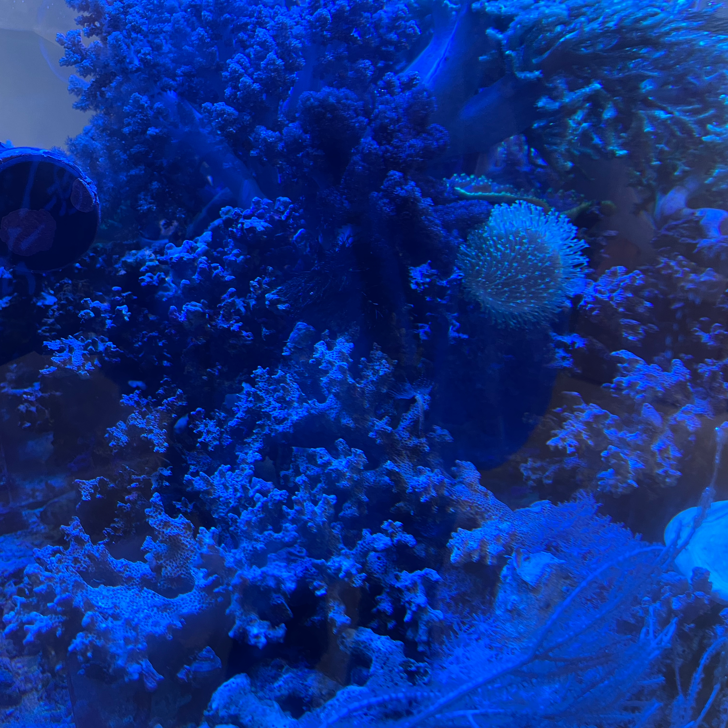 手をつなぎたいと言われてから繋ぐ