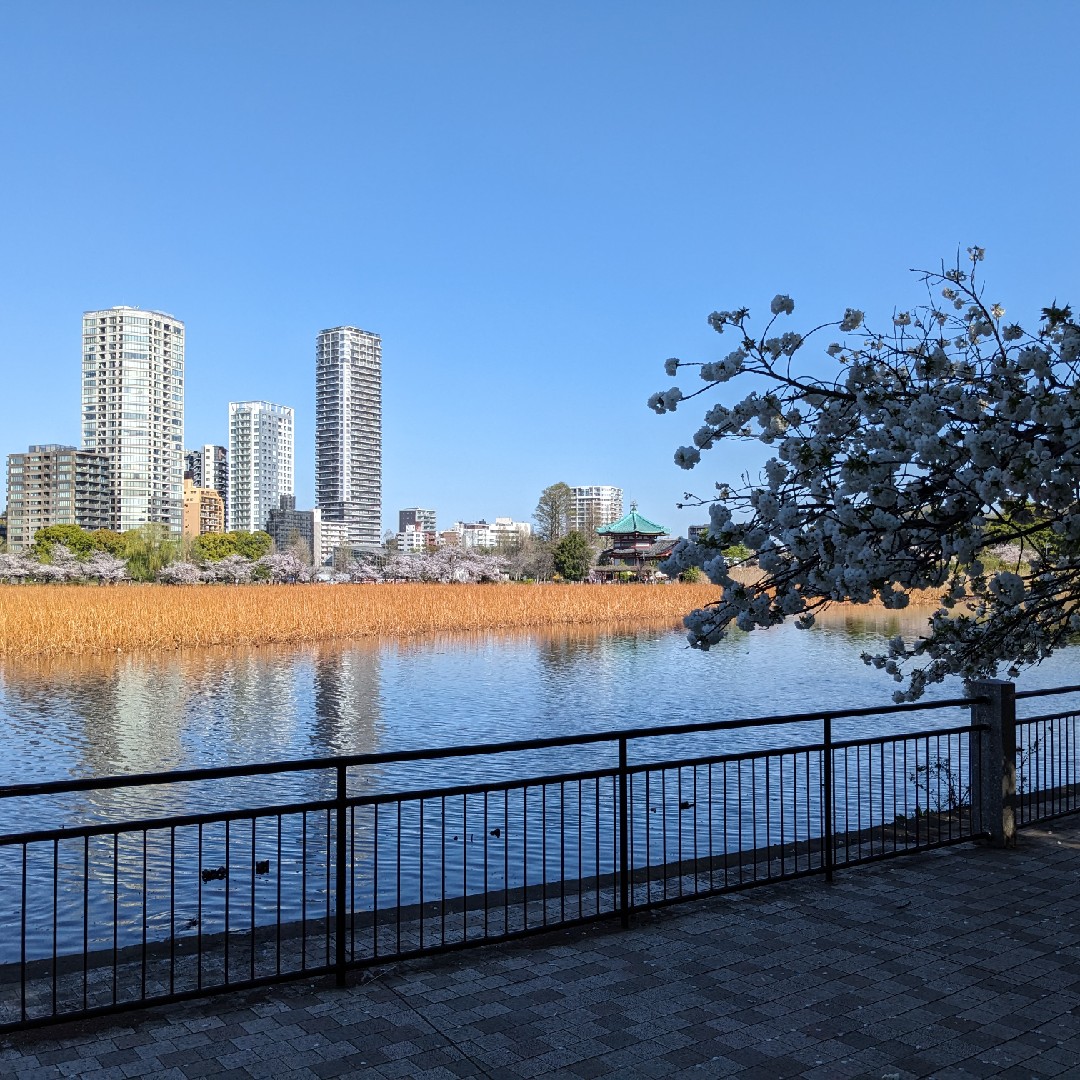 友人と遊べる東京、観光名所豊富