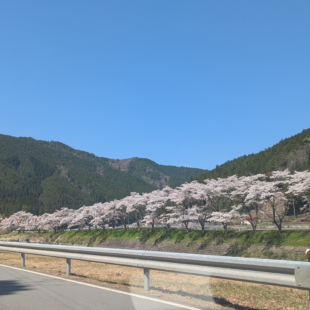 夫婦︰伝えてる