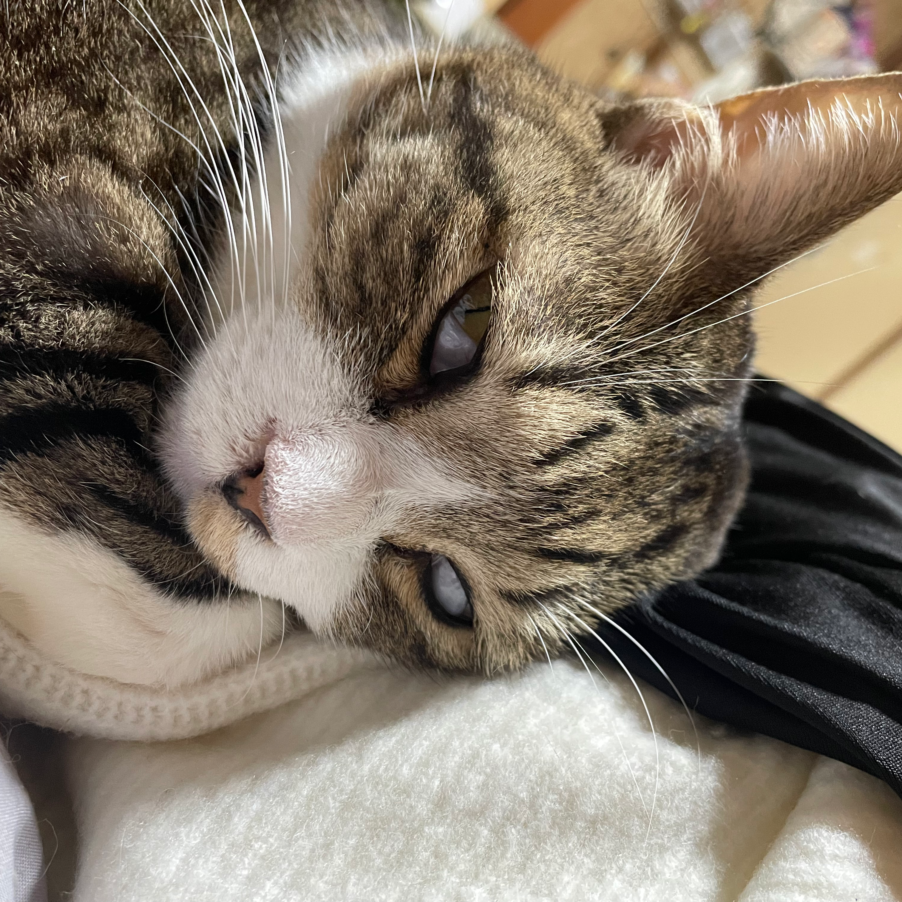 小さくても小銭入れ欲しい！